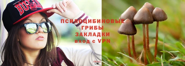 spice Пестово