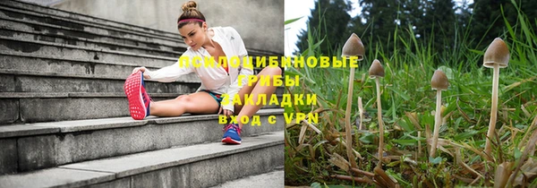 spice Пестово