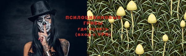 молекула духа Остров
